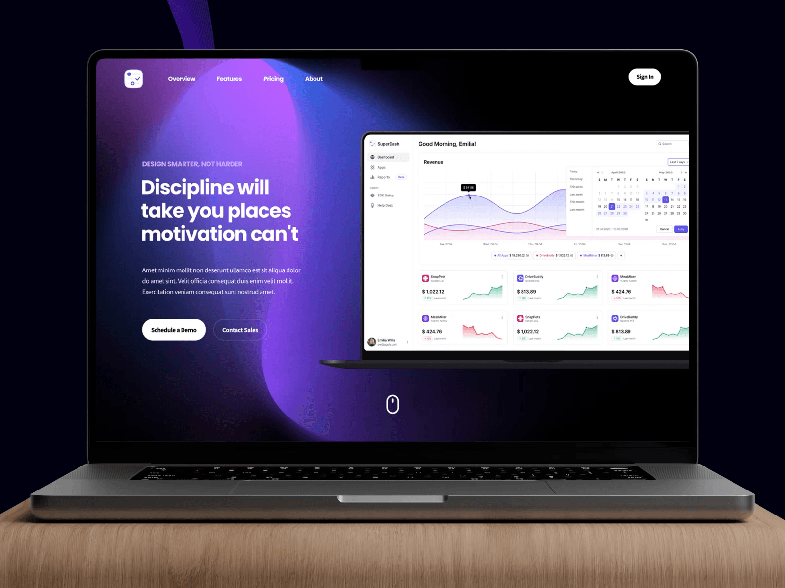 DesignX portfolio — SaaS Landing Page Hero Section